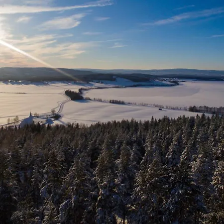 Domek letniskowy Pan Treetop *