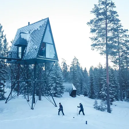 Pan Treetop