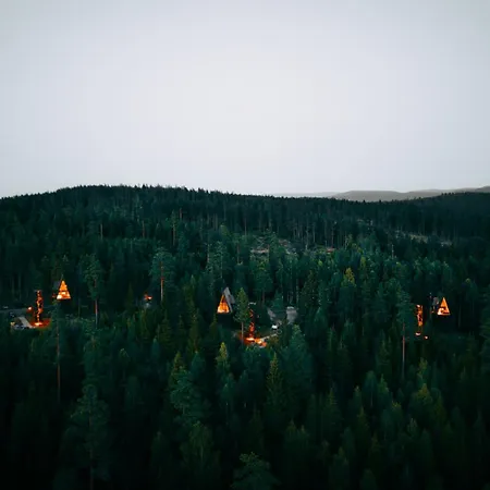 Lodge Pan Treetop