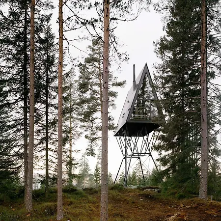 Pan Treetop Asnes
