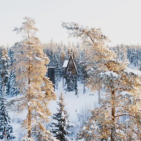Pan Treetop * Asnes