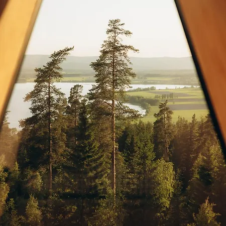 Alojamento de Turismo Selvagem Pan Treetop Asnes