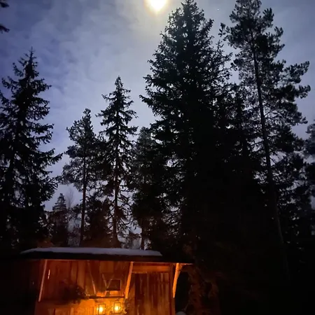 Pan Treetop Деревянный коттедж *