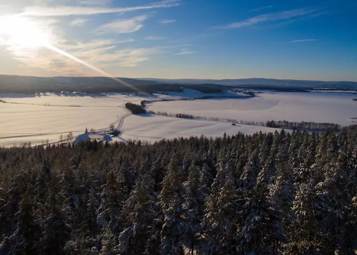 Jaktstuga Pan Treetop *