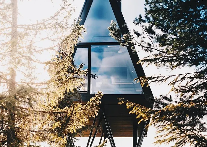 Pan Treetop 롯지