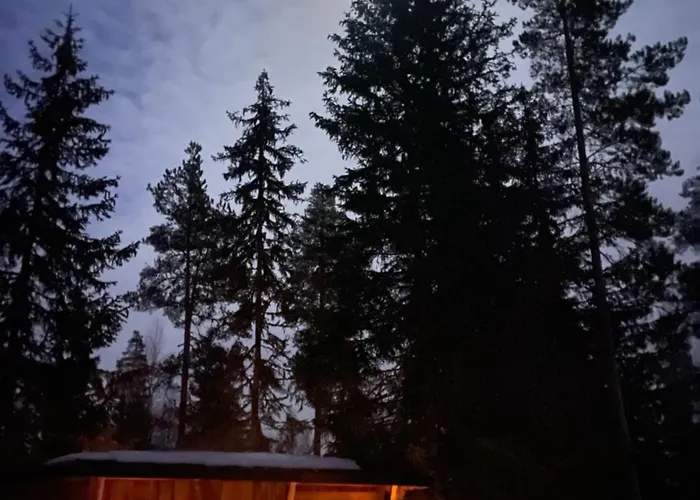 Pan Treetop Jaktstuga *