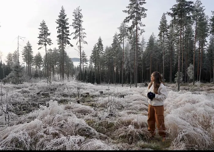 Pan Treetop Jaktstuga *