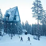 Pan Treetop