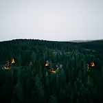 Hytte Pan Treetop