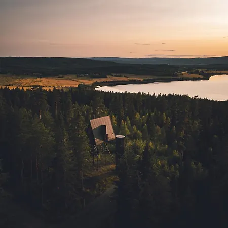Деревянный коттедж Pan Treetop