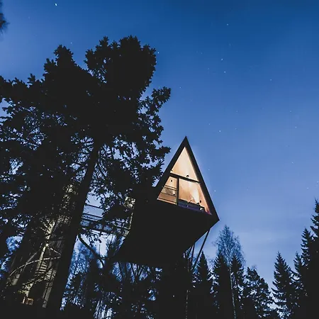 Orman Evi Pan Treetop
