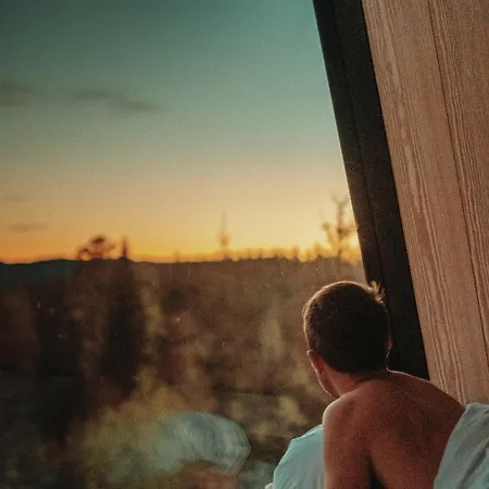 Pan Treetop Деревянный коттедж Asnes