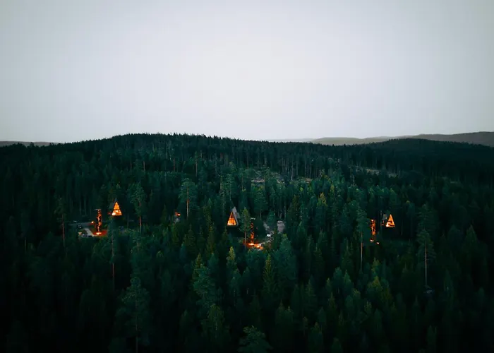 Orman Evi Pan Treetop