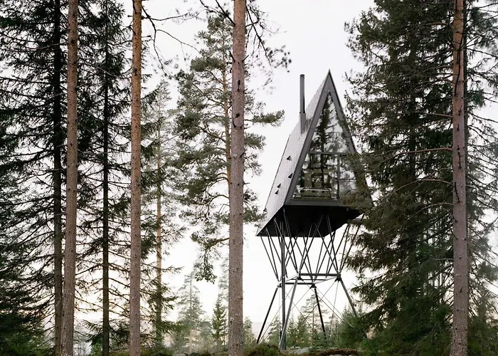 Pan Treetop Asnes