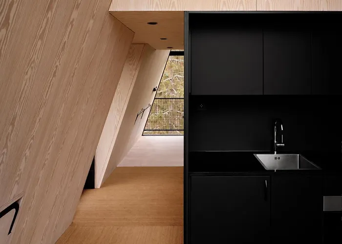 Pan Treetop Orman Evi Asnes