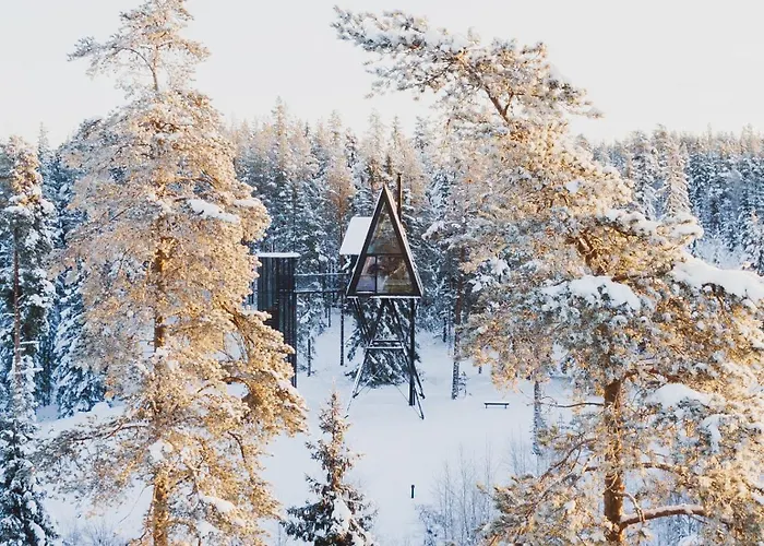 Pan Treetop * Asnes