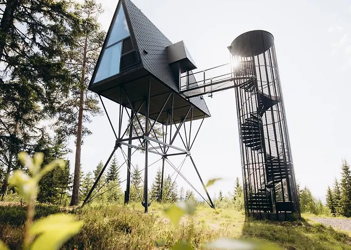 Pan Treetop Orman Evi