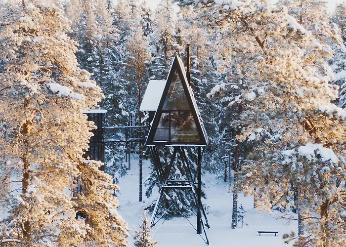 Orman Evi Pan Treetop Asnes